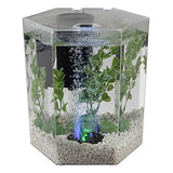 Tetra Bubbling LED Aquarium Kit 1 Gallon, Hexagon Shape, with Color-Changing Light Disc